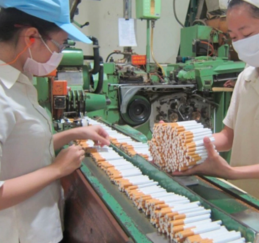 Succesful implemention of ERP SAP B1 for Thang Long Tobacco One Member Co., Ltd