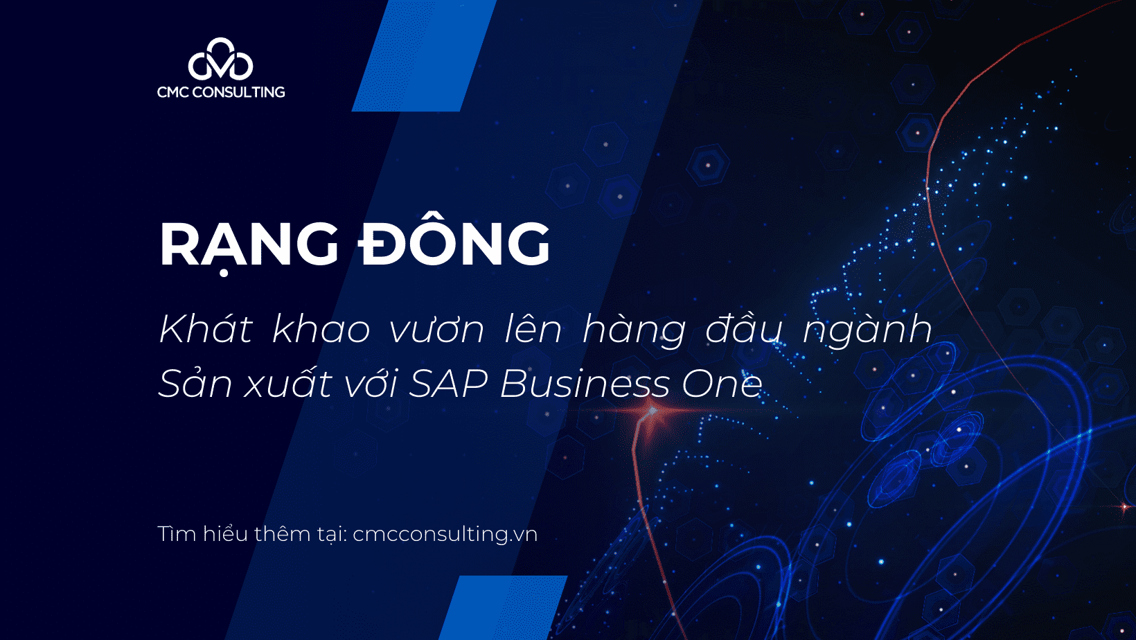 Rạng Đông - Khát khao vươn lên hàng đầu ngành Sản xuất với SAP Business One