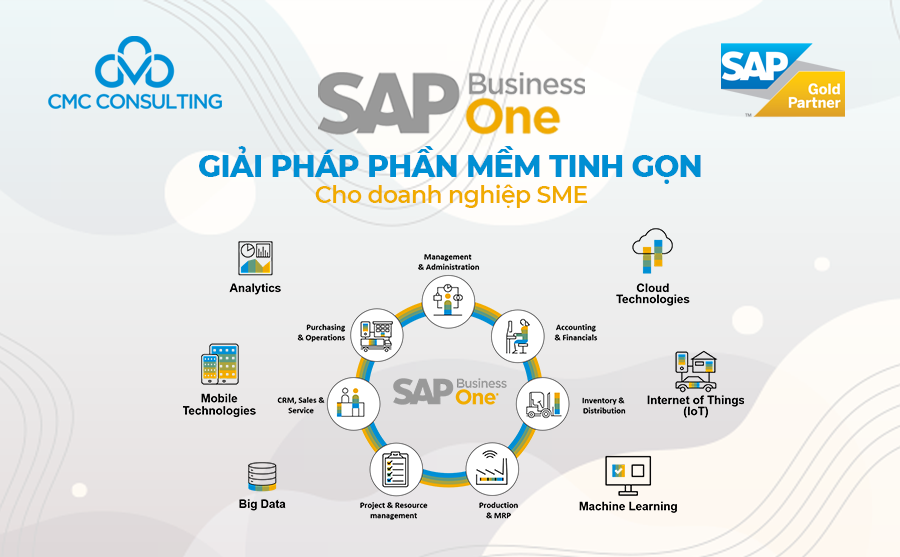 SAP BUSINESS ONE - Giải pháp phần mềm tinh gọn cho doanh nghiệp SME